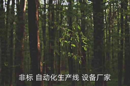 非標(biāo) 自動化生產(chǎn)線 設(shè)備廠家