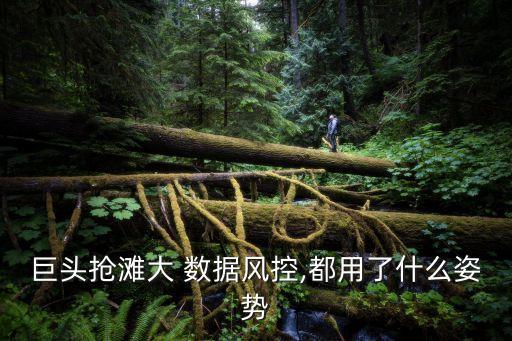 京東萬(wàn)象 聚合數(shù)據(jù)