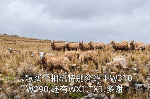 ...想買(mǎi)個(gè)相機(jī)特別介紹下W310W390,還有WX1,TX1.多謝