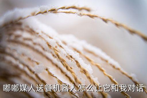機器人的對話設(shè)置內(nèi)容,如何設(shè)計一款智能對話機器人?
