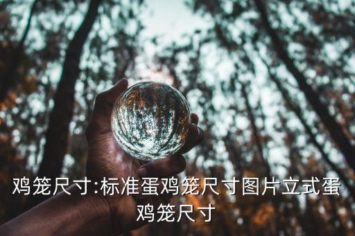雞籠尺寸:標準蛋雞籠尺寸圖片立式蛋雞籠尺寸