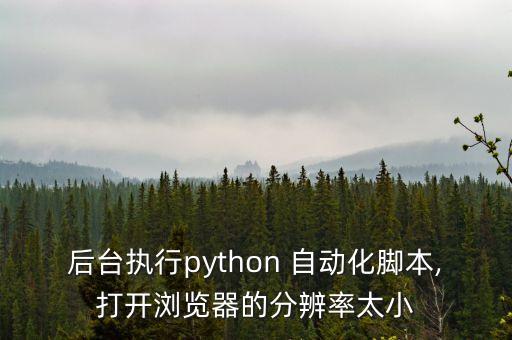 后臺執(zhí)行python 自動化腳本,打開瀏覽器的分辨率太小