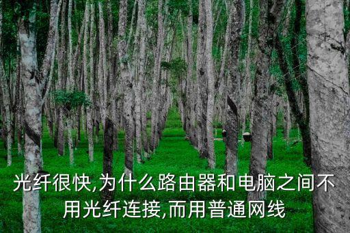 大數(shù)據(jù)需要萬兆網(wǎng),安全數(shù)據(jù)大數(shù)據(jù)化主要體現(xiàn)在三方面