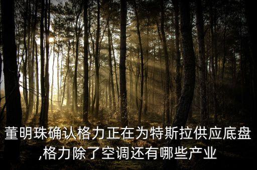 格力芯片機(jī)器人,2021年能生產(chǎn)芯片嗎?沒(méi)這么快上市