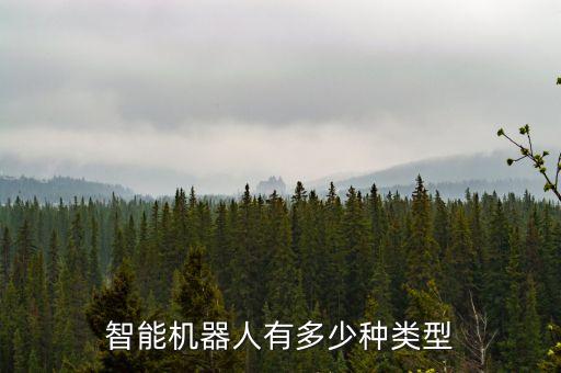 智能機(jī)器人有多少種類型
