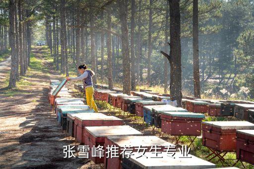 張雪峰推薦女生專業(yè)