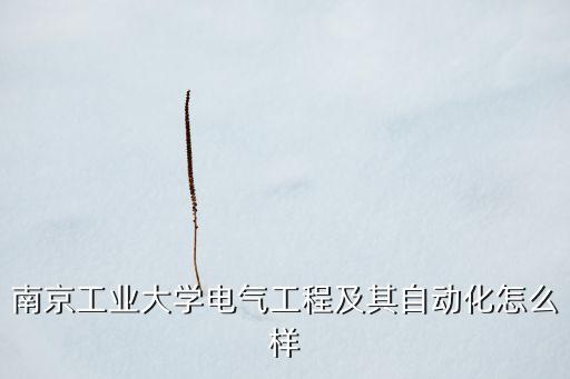 南京工業(yè)大學電氣工程及其自動化怎么樣