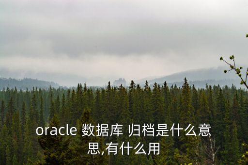 oracle 數(shù)據(jù)庫(kù) 歸檔是什么意思,有什么用