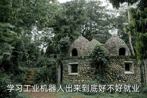 入行工業(yè)機(jī)器人,工業(yè)機(jī)器人專(zhuān)業(yè):有前景嗎?沒(méi)前景