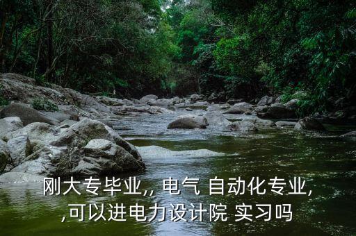 剛大專畢業(yè),, 電氣 自動化專業(yè),,可以進電力設(shè)計院 實習嗎