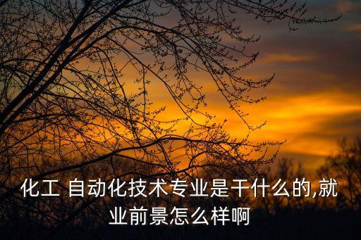 化工 自動(dòng)化技術(shù)專業(yè)是干什么的,就業(yè)前景怎么樣啊