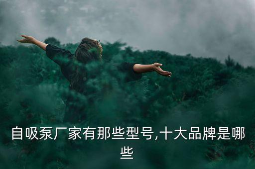 自吸泵廠家有那些型號(hào),十大品牌是哪些