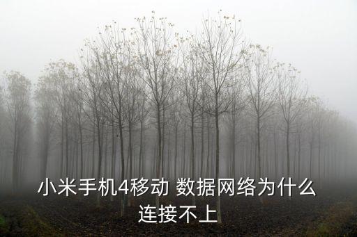  小米手機4移動 數(shù)據(jù)網(wǎng)絡(luò)為什么 連接不上