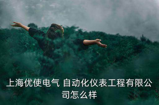 上海優(yōu)使電氣 自動(dòng)化儀表工程有限公司怎么樣