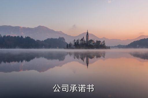 公司承諾書