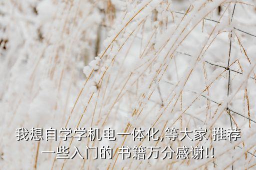 我想自學(xué)學(xué)機(jī)電一體化,等大家 推薦一些入門的 書籍萬(wàn)分感謝!!