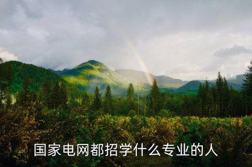 國(guó)家電網(wǎng)都招學(xué)什么專業(yè)的人