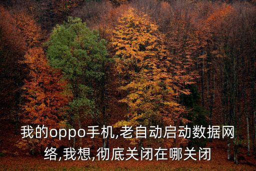我的oppo手機(jī),老自動(dòng)啟動(dòng)數(shù)據(jù)網(wǎng)絡(luò),我想,徹底關(guān)閉在哪關(guān)閉