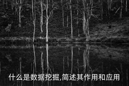 什么是數(shù)據(jù)挖掘,簡述其作用和應用