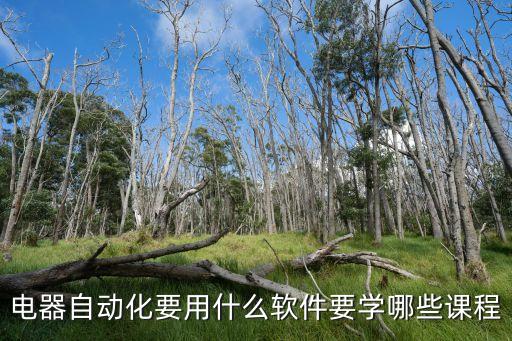 簡(jiǎn)易電氣自動(dòng)化教程第三版,電氣自動(dòng)化專業(yè)課程有哪些?