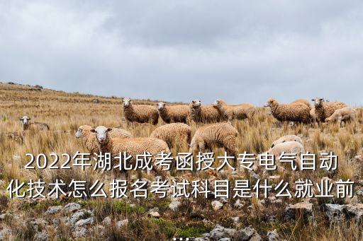 成人電氣自動化技術(shù)答案,成人高考電氣自動化專業(yè)考哪幾科?