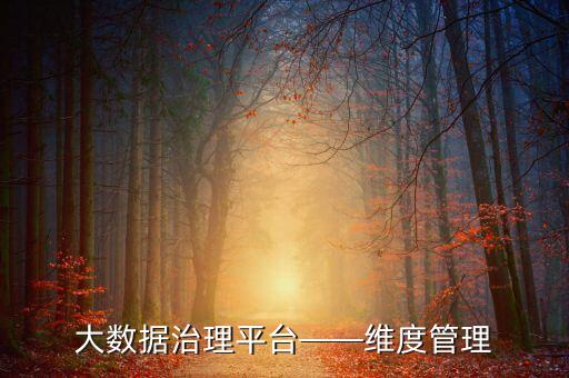 一切業(yè)務(wù)數(shù)據(jù)化,企業(yè)將所有業(yè)務(wù)搬到線上之后將形成海量數(shù)據(jù)