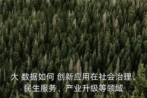 大 數(shù)據(jù)如何 創(chuàng)新應(yīng)用在社會(huì)治理、民生服務(wù)、產(chǎn)業(yè)升級(jí)等領(lǐng)域