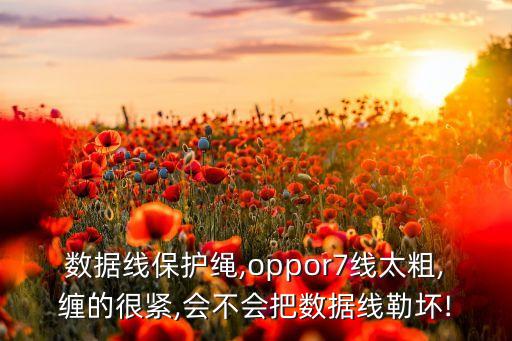 打結(jié)保護(hù)數(shù)據(jù)線,數(shù)據(jù)線保護(hù)繩,保護(hù)套怎么纏繞?