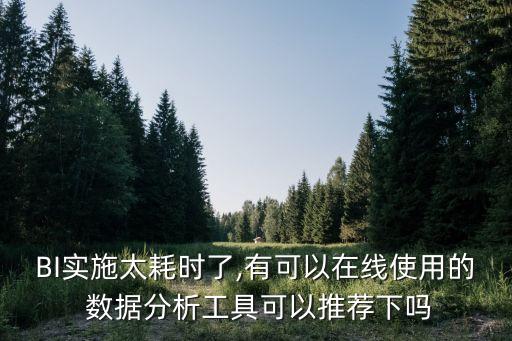 BI實(shí)施太耗時了,有可以在線使用的 數(shù)據(jù)分析工具可以推薦下嗎