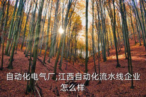 江門自動(dòng)化電氣廠,江西自動(dòng)化流水線企業(yè)怎么樣?