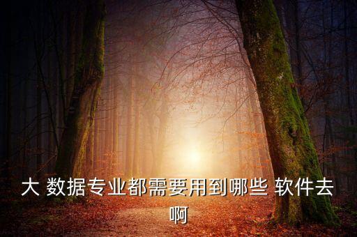 大數(shù)據(jù)一般用什么軟件有哪些內(nèi)容
