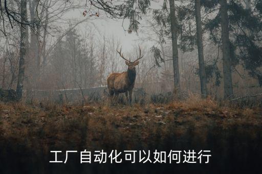 工廠自動(dòng)化可以如何進(jìn)行