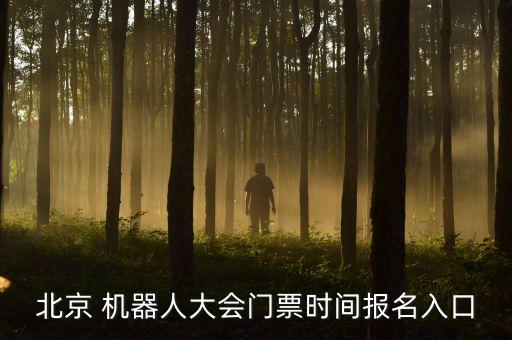 北京 機器人大會門票時間報名入口