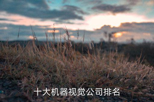 望汭自動化有限公司,哪些自動化公司在江浙滬上榜?