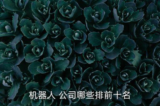 美國大型自動(dòng)化公司有哪些,美國brooks自動(dòng)化公司