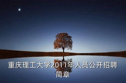 重慶理工大學(xué)2011年人員公開招聘簡(jiǎn)章