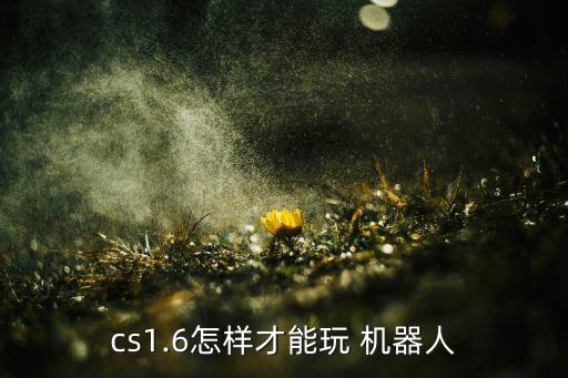 反恐行動(dòng)機(jī)器人