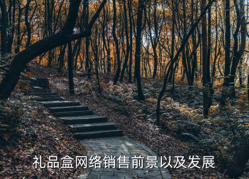 禮品盒網(wǎng)絡(luò)銷售前景以及發(fā)展