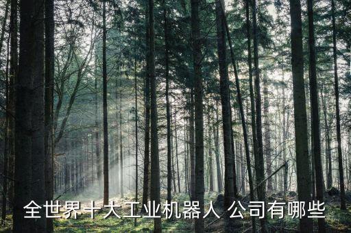 全世界十大工業(yè)機器人 公司有哪些