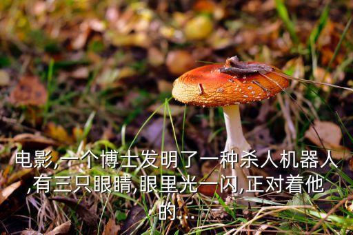 電影,一個(gè)博士發(fā)明了一種殺人機(jī)器人,有三只眼睛,眼里光一閃,正對著他的...