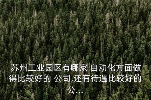  蘇州工業(yè)園區(qū)有哪家 自動(dòng)化方面做得比較好的 公司,還有待遇比較好的公...