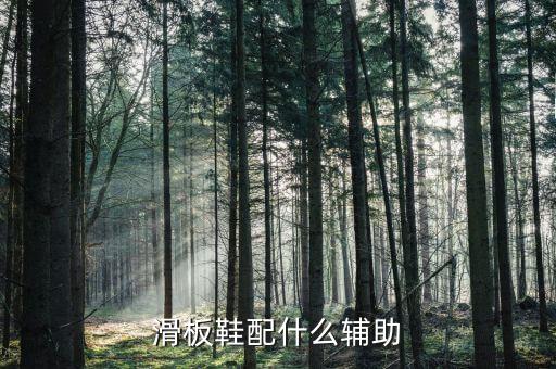 滑板鞋配什么輔助