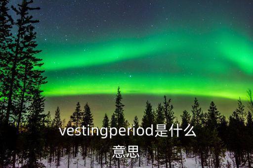  vestingperiod是什么意思