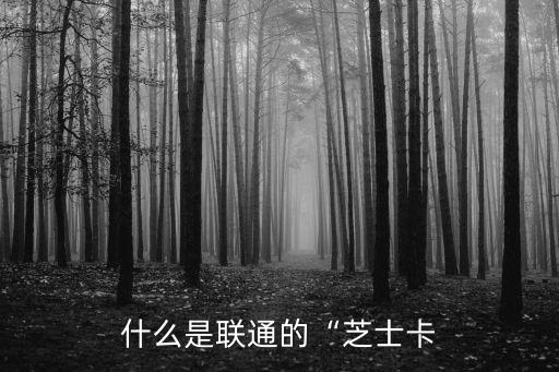 什么是聯(lián)通的“芝士卡