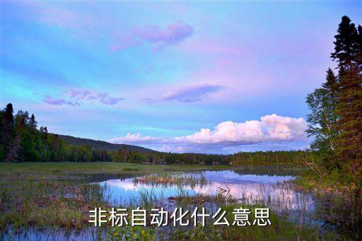 自動化非標(biāo)設(shè)備制作方法,關(guān)于非標(biāo)自動化設(shè)備,你必須知道