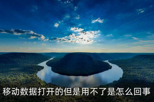 移動(dòng)數(shù)據(jù)打開的但是用不了是怎么回事