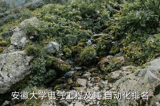 安大的自動化專業(yè)好嗎,安大自動化專業(yè)在哪個校區(qū)