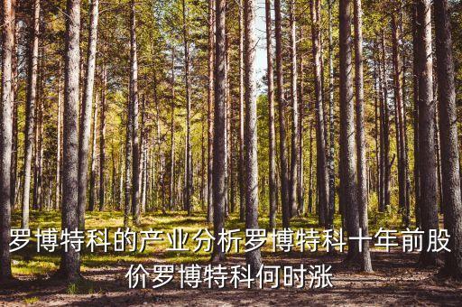 羅博特科的產(chǎn)業(yè)分析羅博特科十年前股價(jià)羅博特科何時(shí)漲