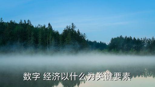 數(shù)字 經(jīng)濟以什么為關(guān)鍵要素