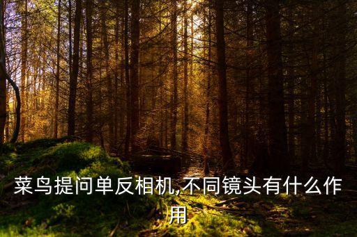 相機與鏡頭,一文看懂!單反相機的鏡頭和機身哪個重要?
